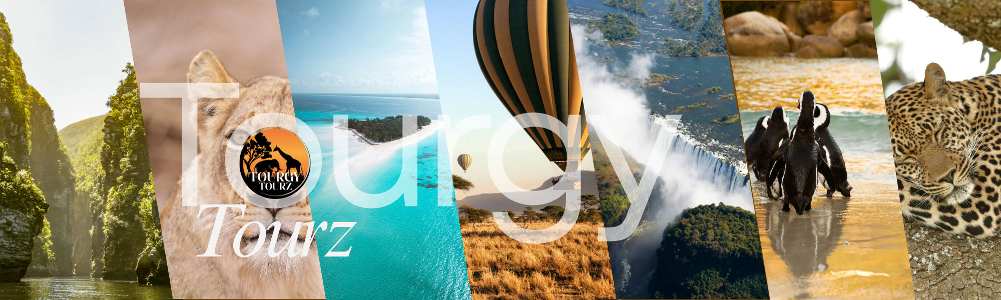 Tourgy Tourz Newsletter  Banner-1