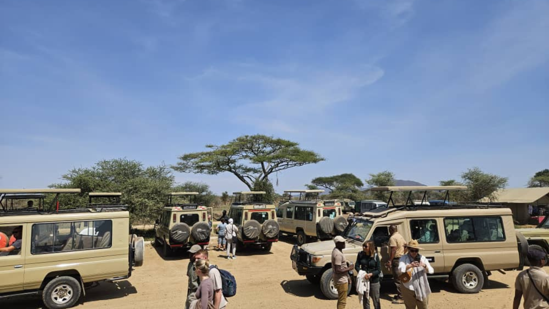 safari-experience-in-serengeti