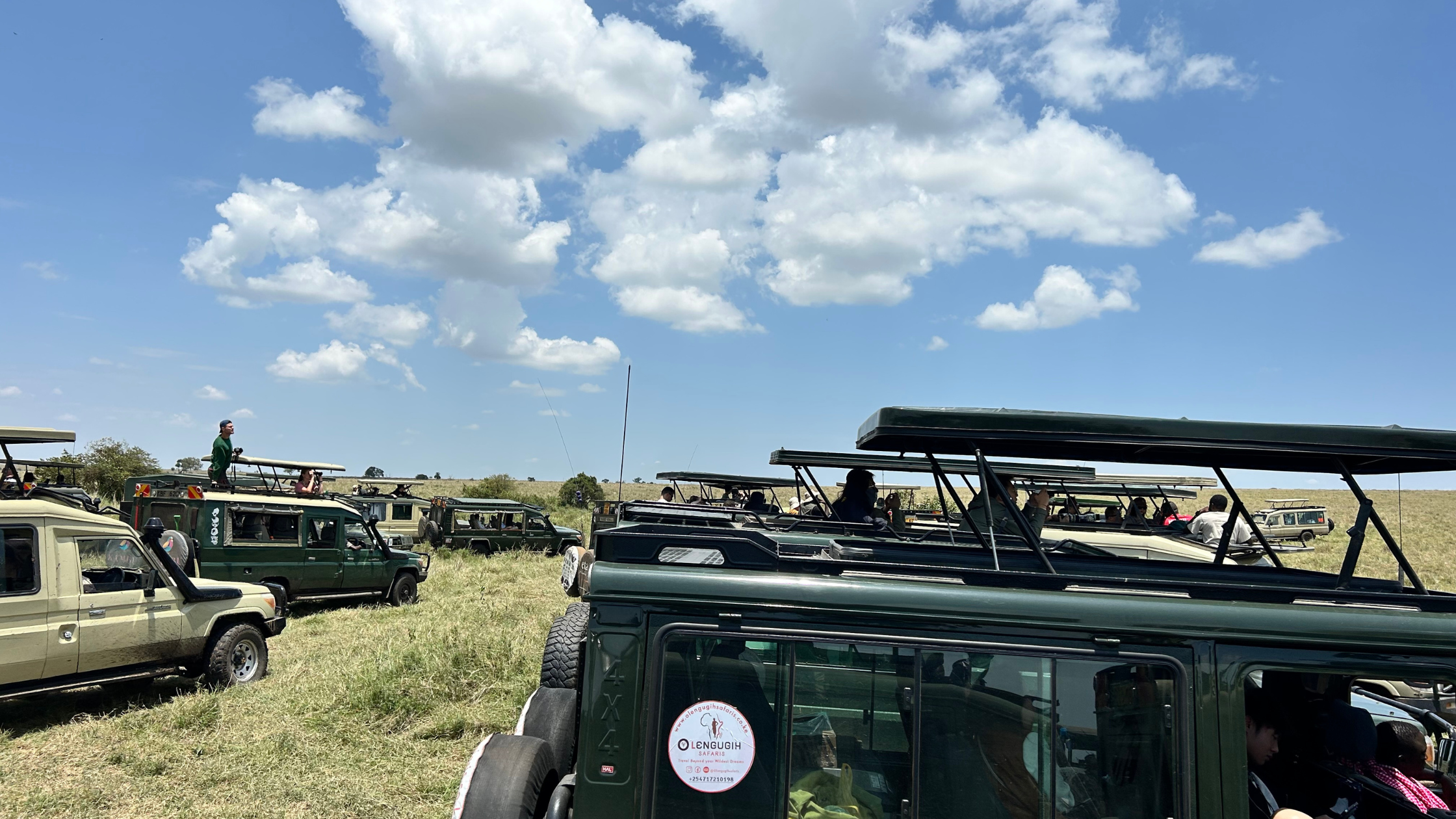 safari-in-masai-mara